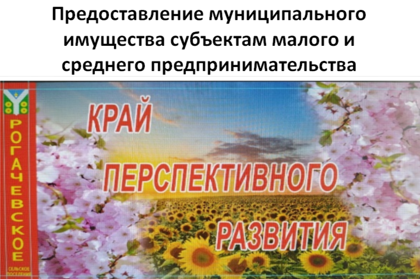 Предоставление муниципального имущества субъектам малого и среднего предпринимательства.