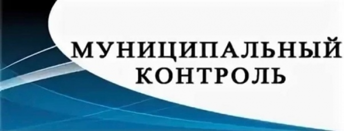 доклад по муниципальному контролю в сфере благоустройства 2024.