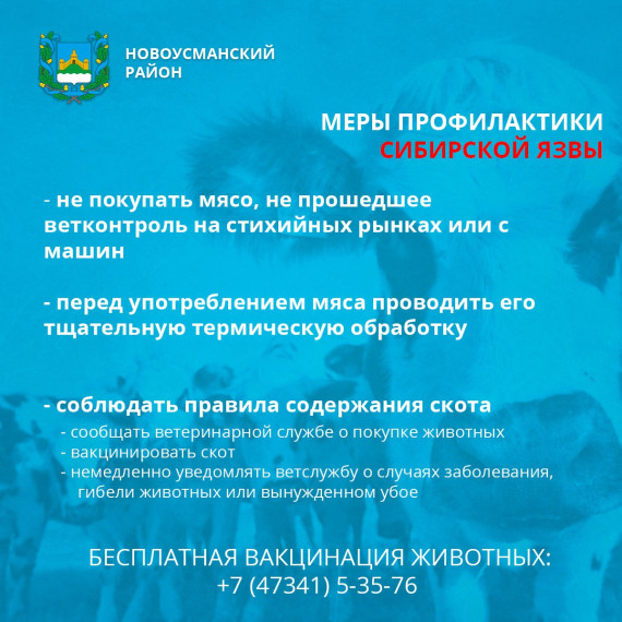 Меры профилактики сибирской язвы. Меры профилактики сибирской язвы.